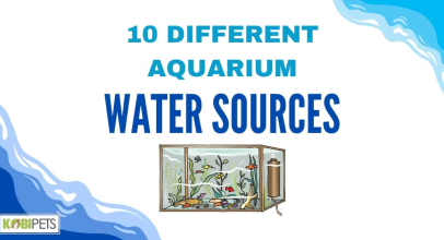 10 Different Aquarium Water Sources