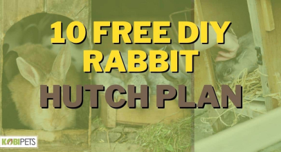 10 Free DIY Rabbit Hutch Plan