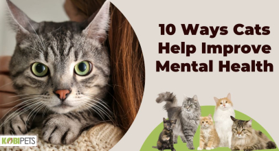 10 Ways Cats Help Improve Mental Health