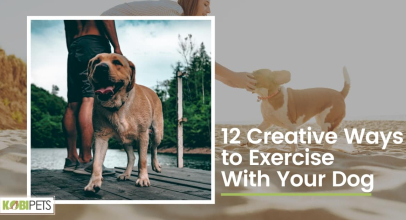 12 Creative Ways to Exercise With Your Dog
