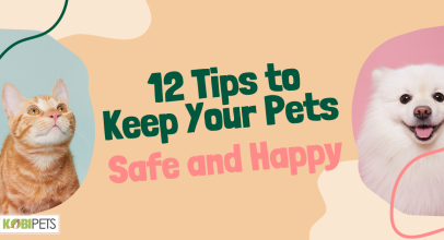 12 Tips to Keep Your Pets Safe and Happy