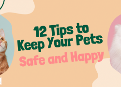 12 Tips to Keep Your Pets Safe and Happy