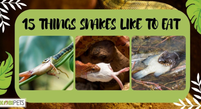 15 Things Snakes Like to Eat