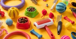 5 Trending Pet Products on AliExpress You Could Be Earning Commission On