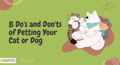 8 Do’s and Don’ts of Petting Your Cat or Dog