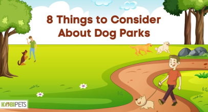 8 Things to Consider About Dog Parks