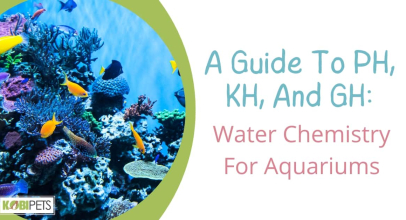 A Guide To PH, KH, And GH: Water Chemistry For Aquariums