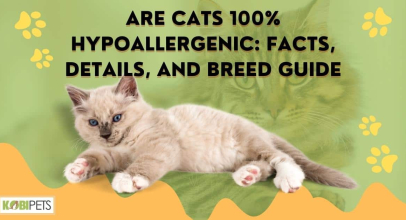Are Cats 100% Hypoallergenic: Facts, Details, and Breed Guide