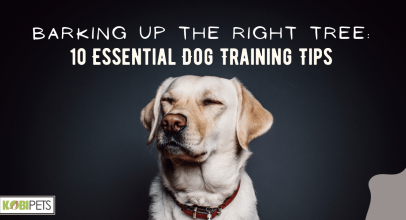 Barking Up the Right Tree: 10 Essential Dog Training Tips