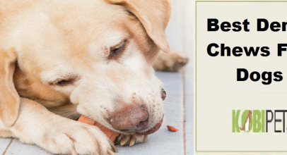 Best Dental Chews For Dogs