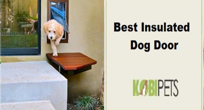 Best Insulated Dog Door