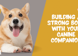Building a Strong Bond with Your Canine Companion