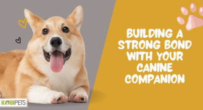 Building a Strong Bond with Your Canine Companion