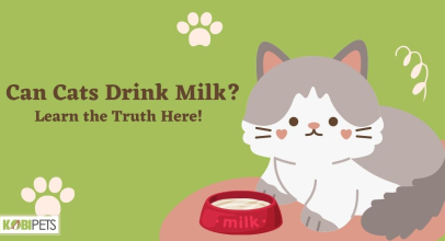 Can Cats Drink Milk? Learn the Truth Here!