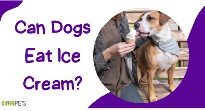Can Dogs Eat Ice Cream?