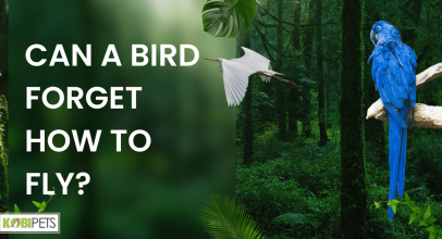 Can a bird forget how to fly?