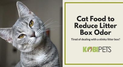 Best Cat Food to Reduce Litter Box Odor