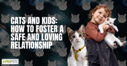 Cats and Kids: How to Foster a Safe and Loving Relationship