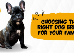 Choosing the Right Dog Breed for Your Family