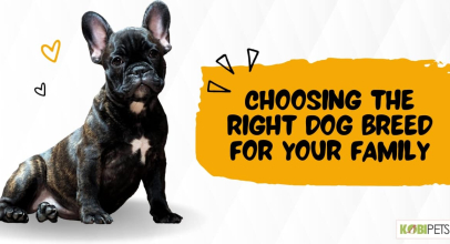 Choosing the Right Dog Breed for Your Family