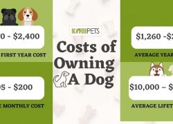 Costs of Owning a Dog