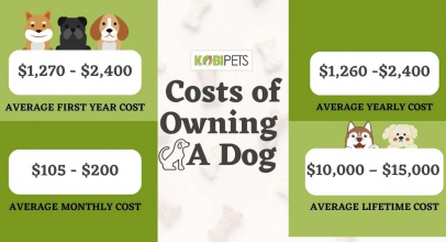 Costs of Owning a Dog