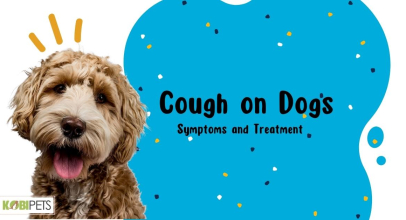 Cough on Dogs: Symptoms and Treatment