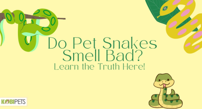 Do Pet Snakes Smell Bad? Learn the Truth Here!