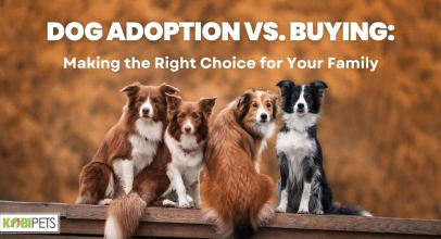 Dog Adoption vs. Buying: Making the Right Choice for Your Family