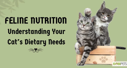 Feline Nutrition: Understanding Your Cat’s Dietary Needs