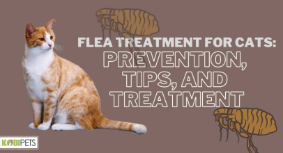 Flea Treatment for Cats: Prevention, Tips, And Treatment