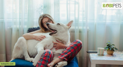 12 Ways to Celebrate Your Dog’s Birthday