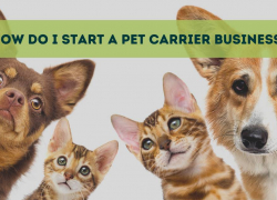 How Do I Start a Pet Carrier Business?