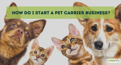 How Do I Start a Pet Carrier Business?