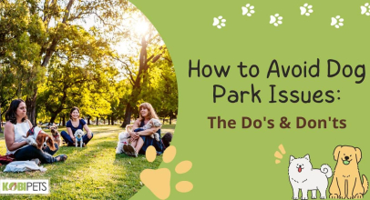 How to Avoid Dog Park Issues: The Do’s & Don’ts