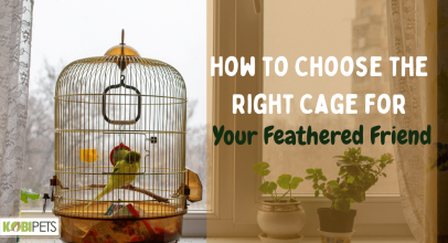 How to Choose the Right Cage for Your Feathered Friend