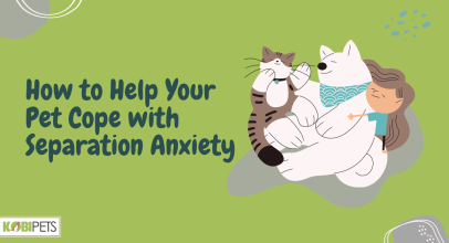 How to Help Your Pet Cope with Separation Anxiety