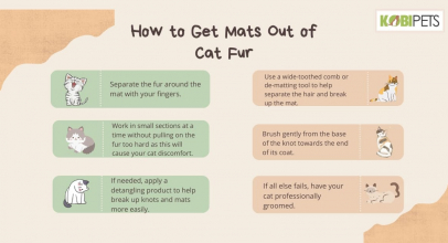 How to Painlessly Get Mats Out of Cat Fur