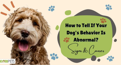How to Tell If Your Dog’s Behavior Is Abnormal? Signs & Causes