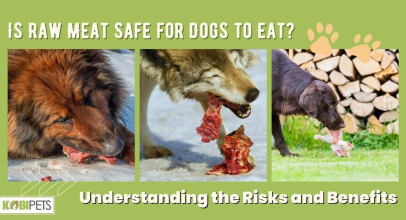 Is Raw Meat Safe for Dogs to Eat? Understanding the Risks and Benefits