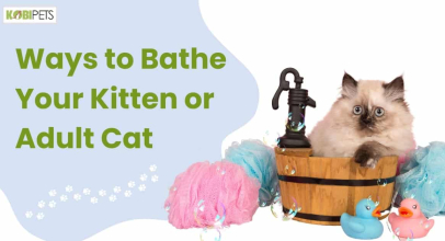 Ways to Bathe Your Kitten or Adult Cat