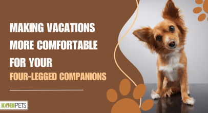Making Vacations More Comfortable for Your Four-Legged Companions