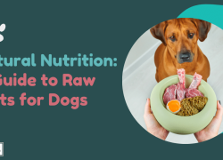 Natural Nutrition: A Guide to Raw Diets for Dogs