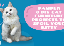 8 DIY Cat Furniture Projects to Spoil Your Kitty