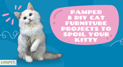 8 DIY Cat Furniture Projects to Spoil Your Kitty