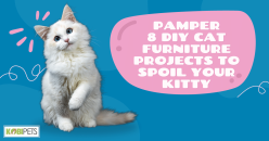 8 DIY Cat Furniture Projects to Spoil Your Kitty