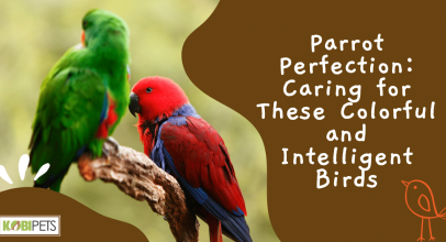 Parrot Perfection: Caring for These Colorful and Intelligent Birds