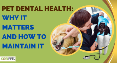 Pet Dental Health: Why It Matters and How to Maintain It