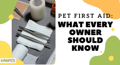 Pet First Aid: What Every Owner Should Know