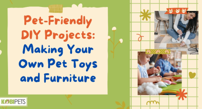 Pet-Friendly DIY Projects: Making Your Own Pet Toys and Furniture